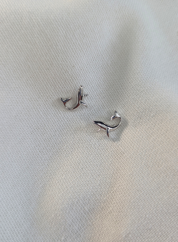 Sonar & Silver Earrings