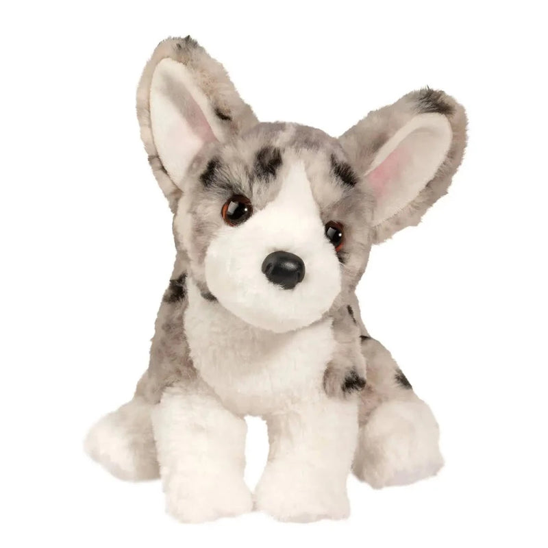 Codie Corgi