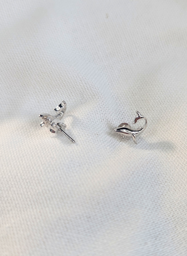 Sonar & Silver Earrings