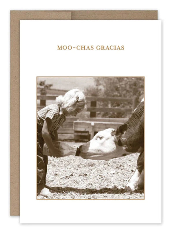Moo-Chas Gracias Card