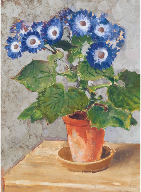 Blue Cineraria Card