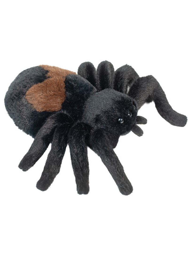 Sneakie Spider