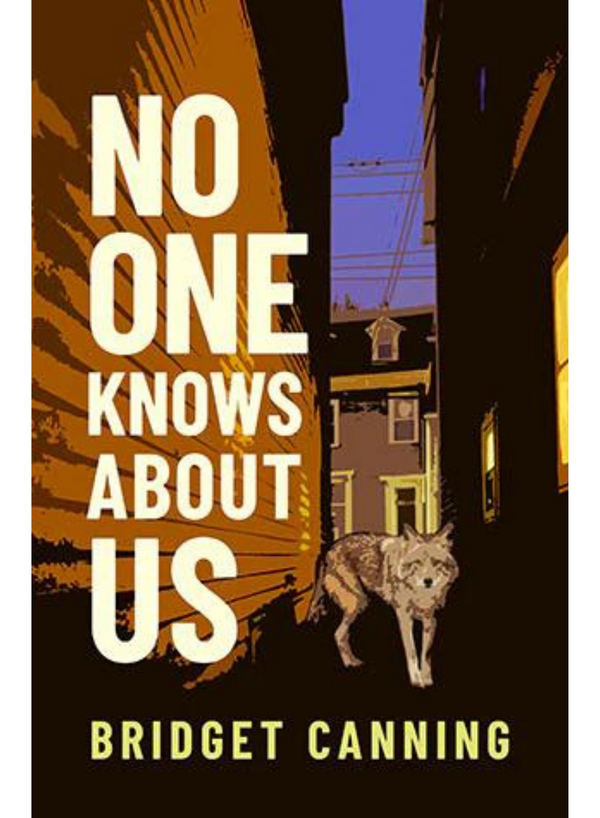 No One Knows About Us Book