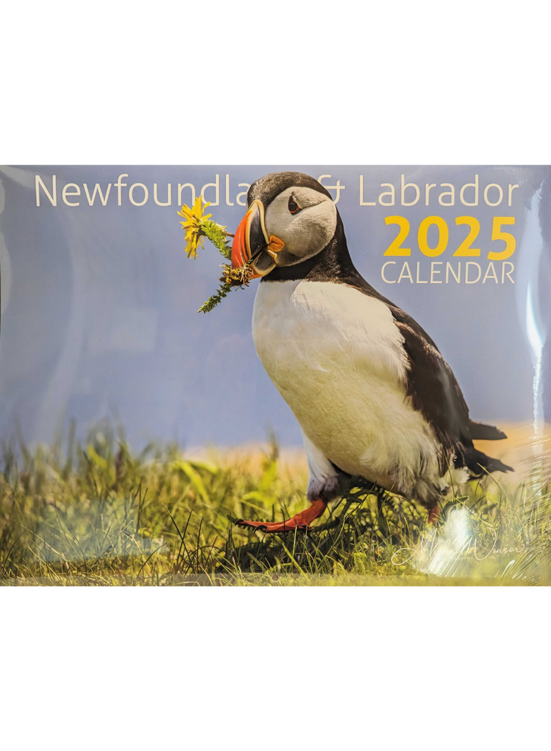 Michael Winsor 2025 NL Calendar