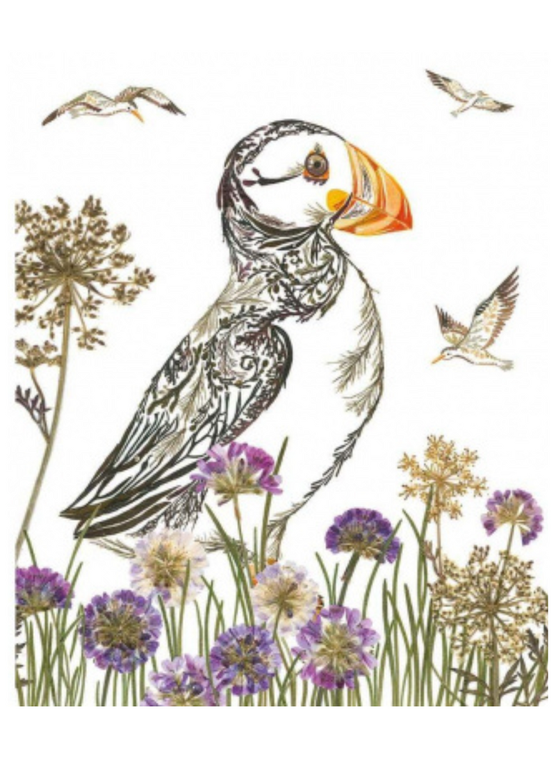 Proud Puffin Card