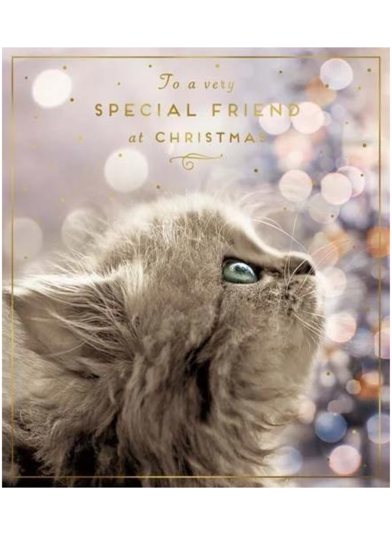 Special Friend Kitten Card