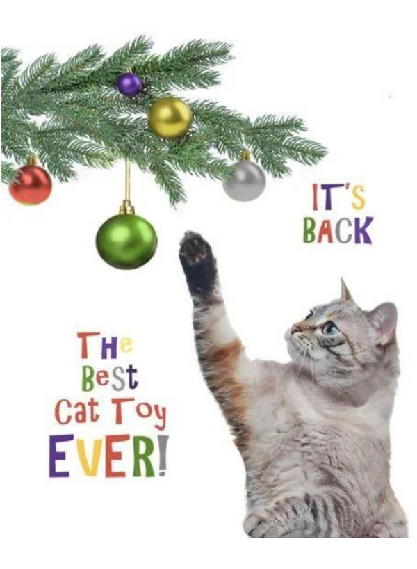 Cat Toy Card
