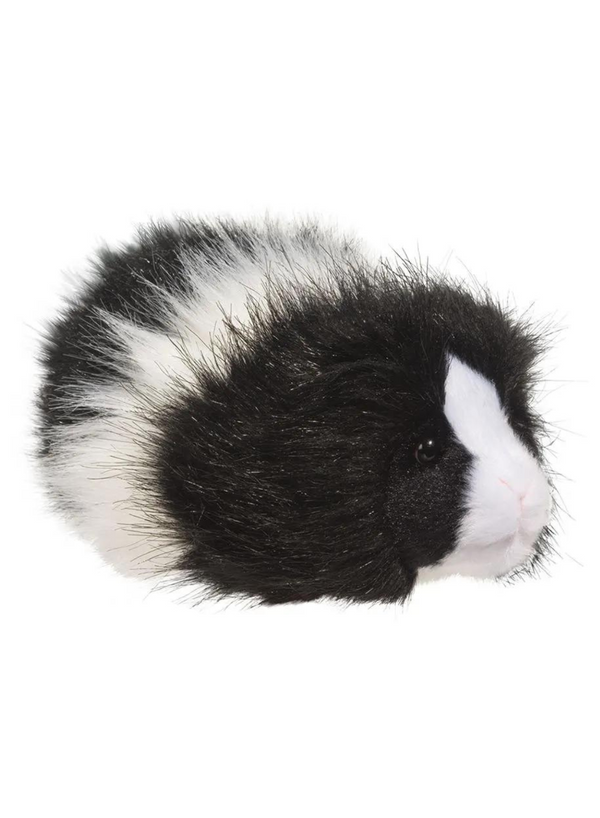 Angora Guinea Pig