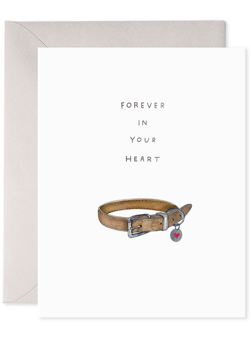 Pet Collar Card