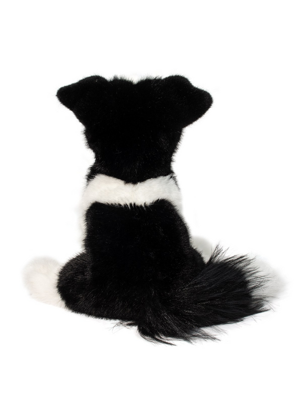 Heardie Border Collie
