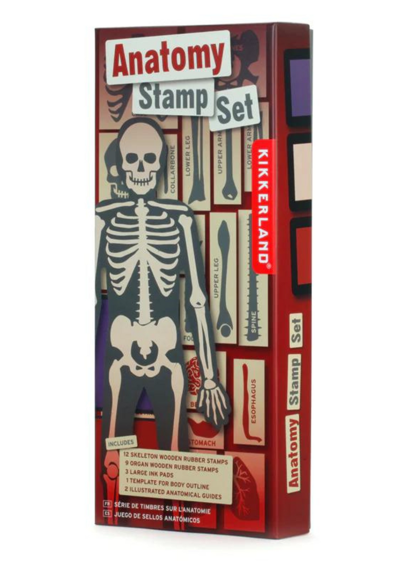 Anatomy Stamp Set