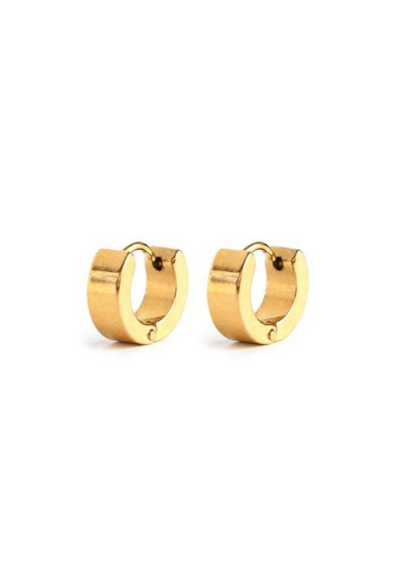 Dylan Earrings