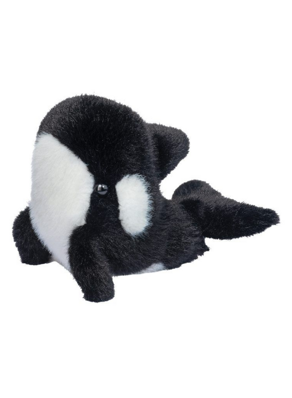 Lil' Baby Orca Whale