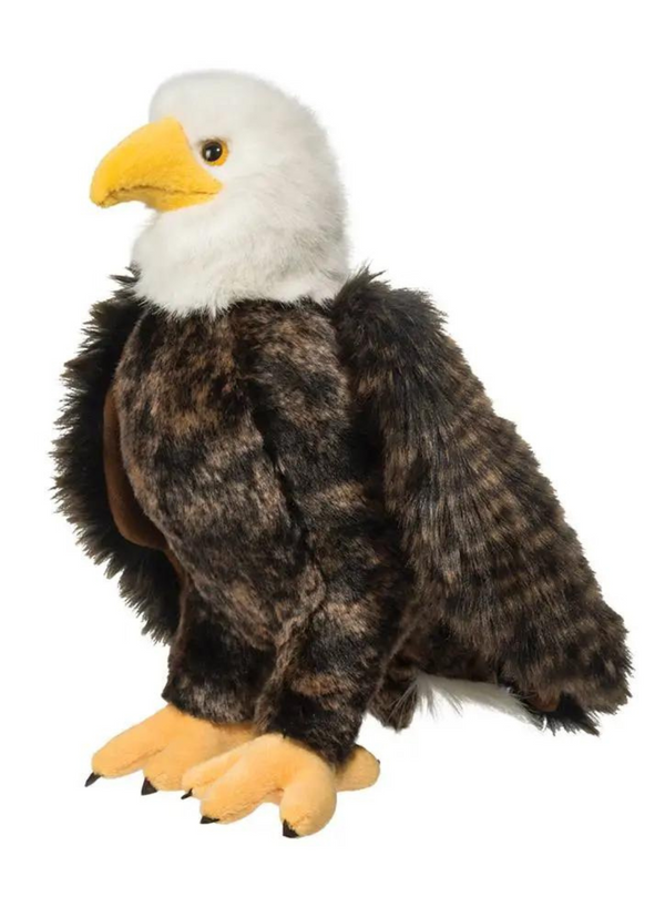 Adler Bald Eagle