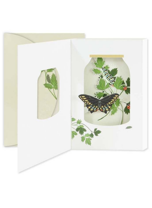 Bug Jar Card