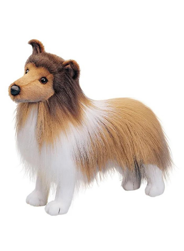 Dixie Sheltie