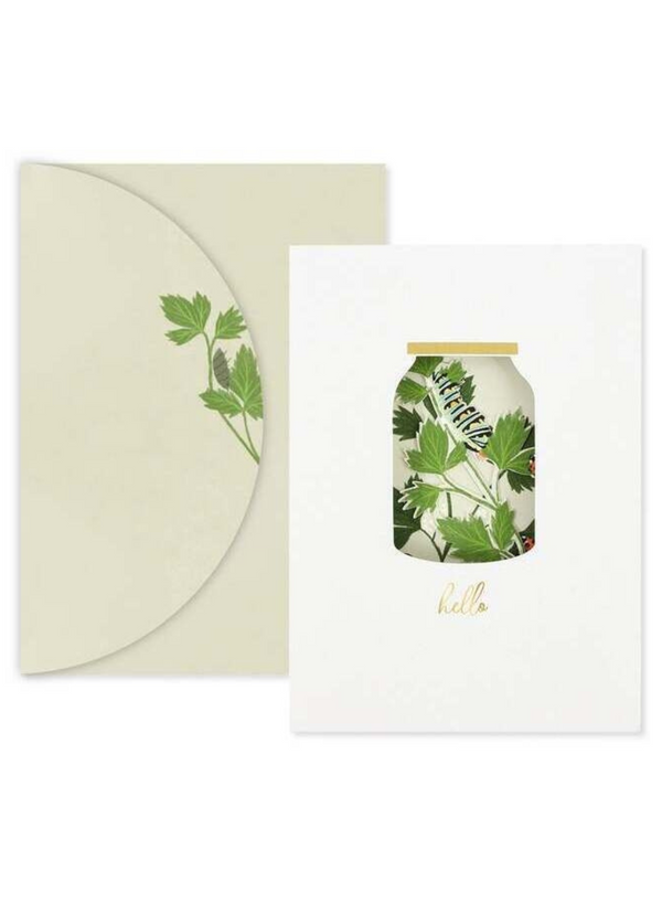 Bug Jar Card