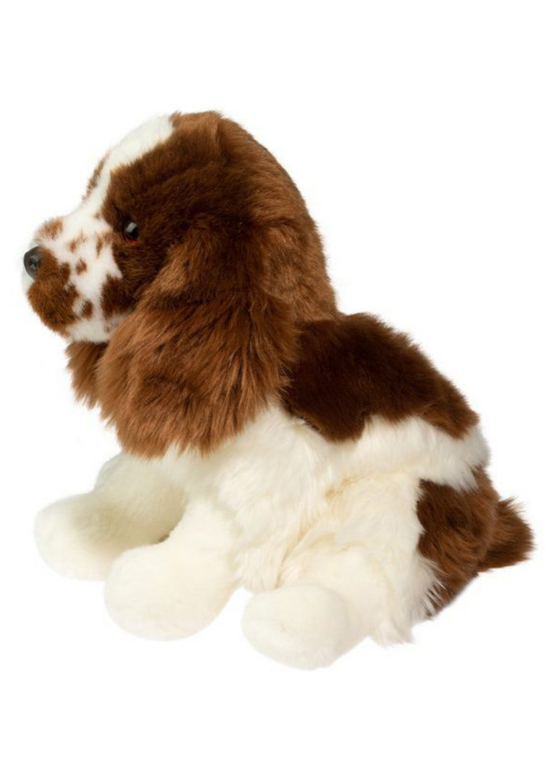 Chip Springer Spaniel