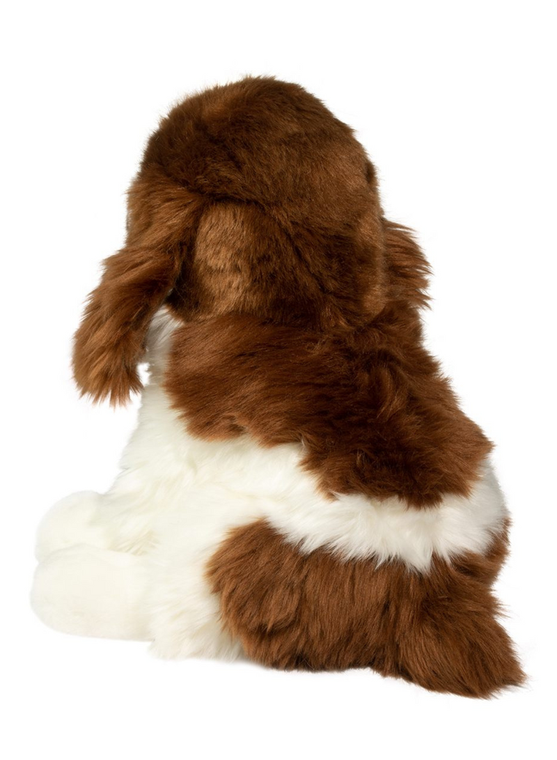 Chip Springer Spaniel