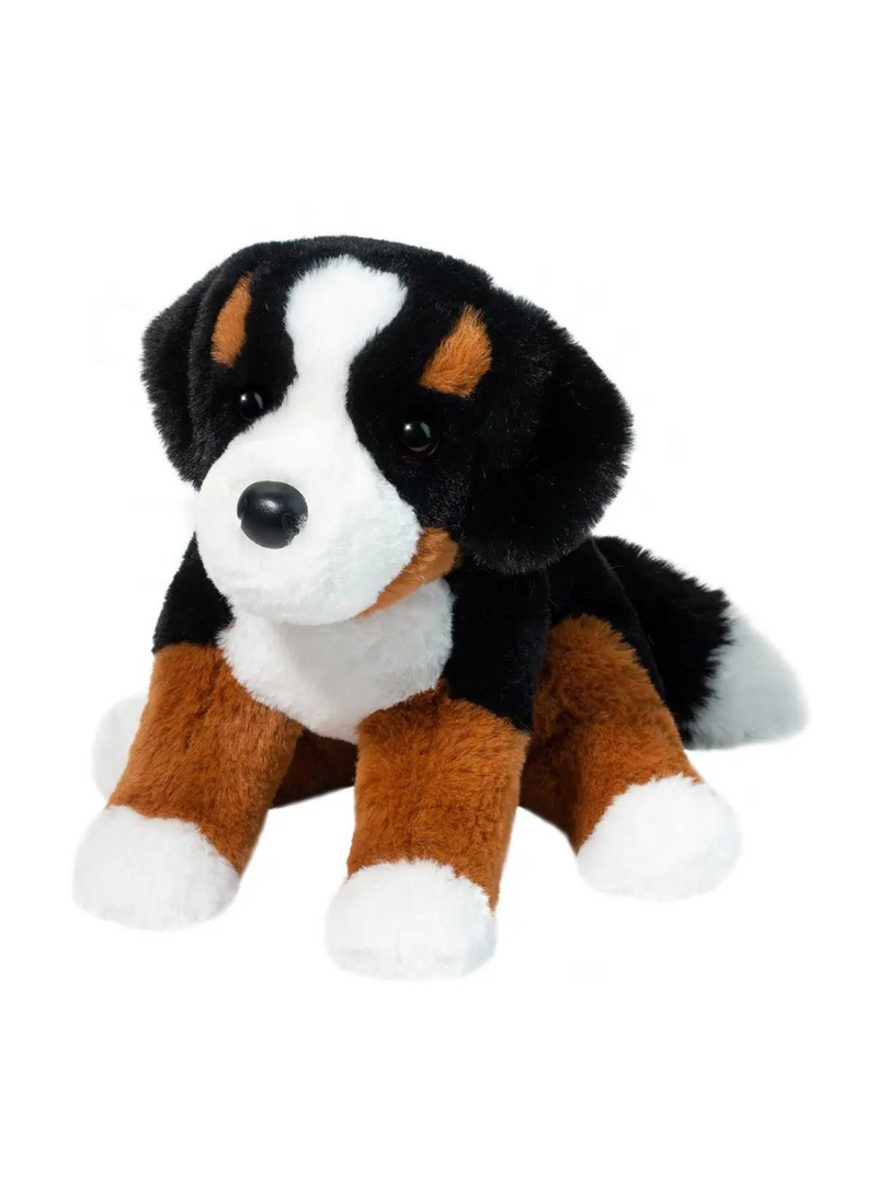 Bowie Bernese Mountain Dog