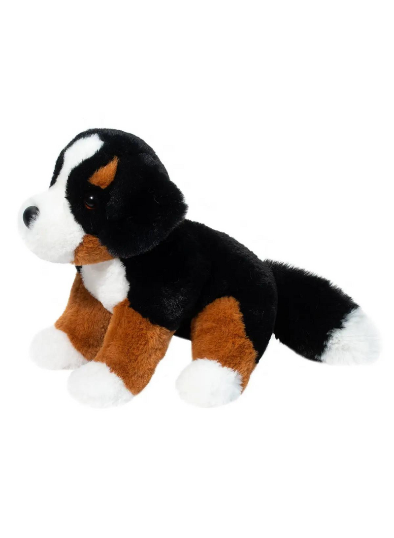 Bowie Bernese Mountain Dog