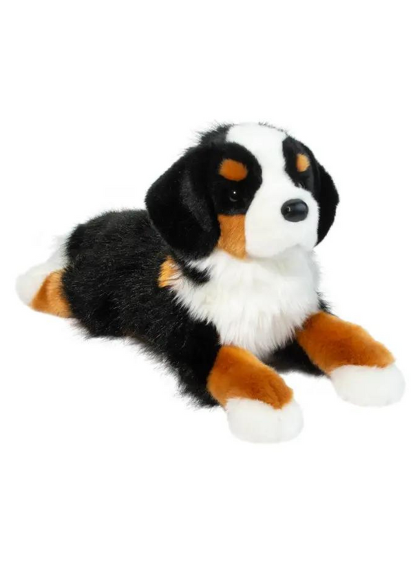 Trooper Bernese Mountain Dog