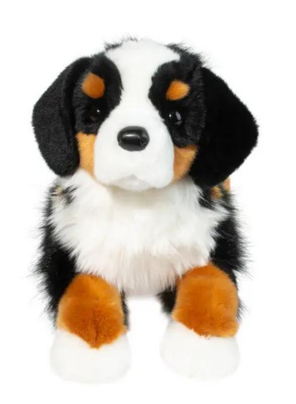 Trooper Bernese Mountain Dog