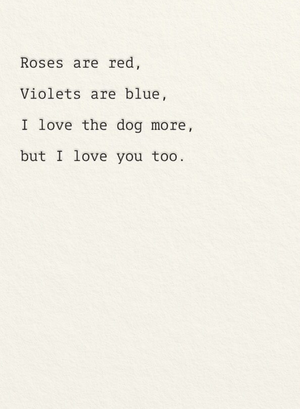 Love the Dog More Card