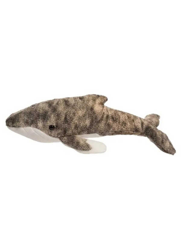 Archie Humpback Whale
