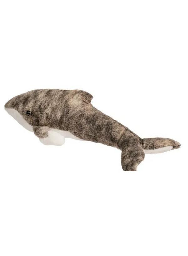 Archie Humpback Whale