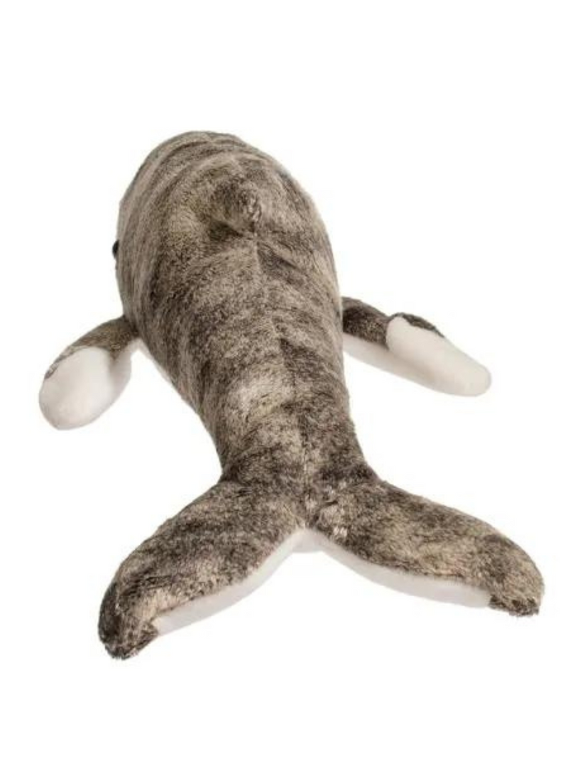 Archie Humpback Whale