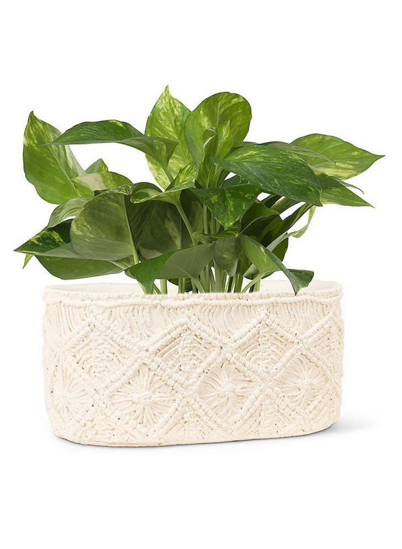 Large Macrame Style Oval Planter