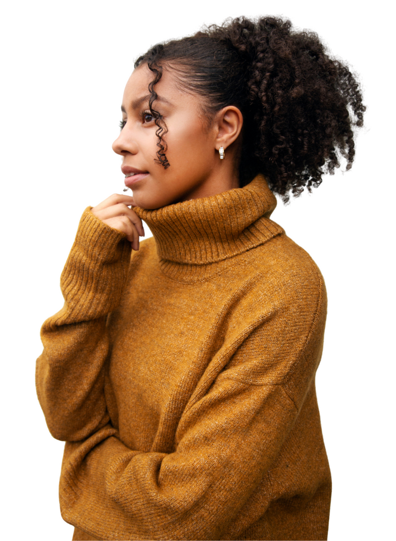 The Dog Walker Sweater