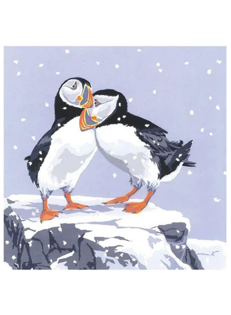 Puffins Christmas Card
