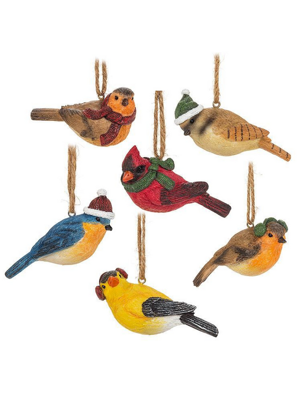Winter Dress Bird Ornament