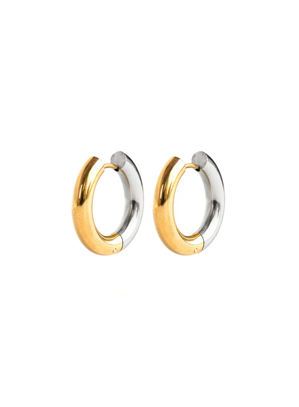 Hugo Earrings