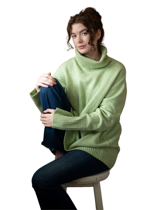 The Dog Walker Sweater
