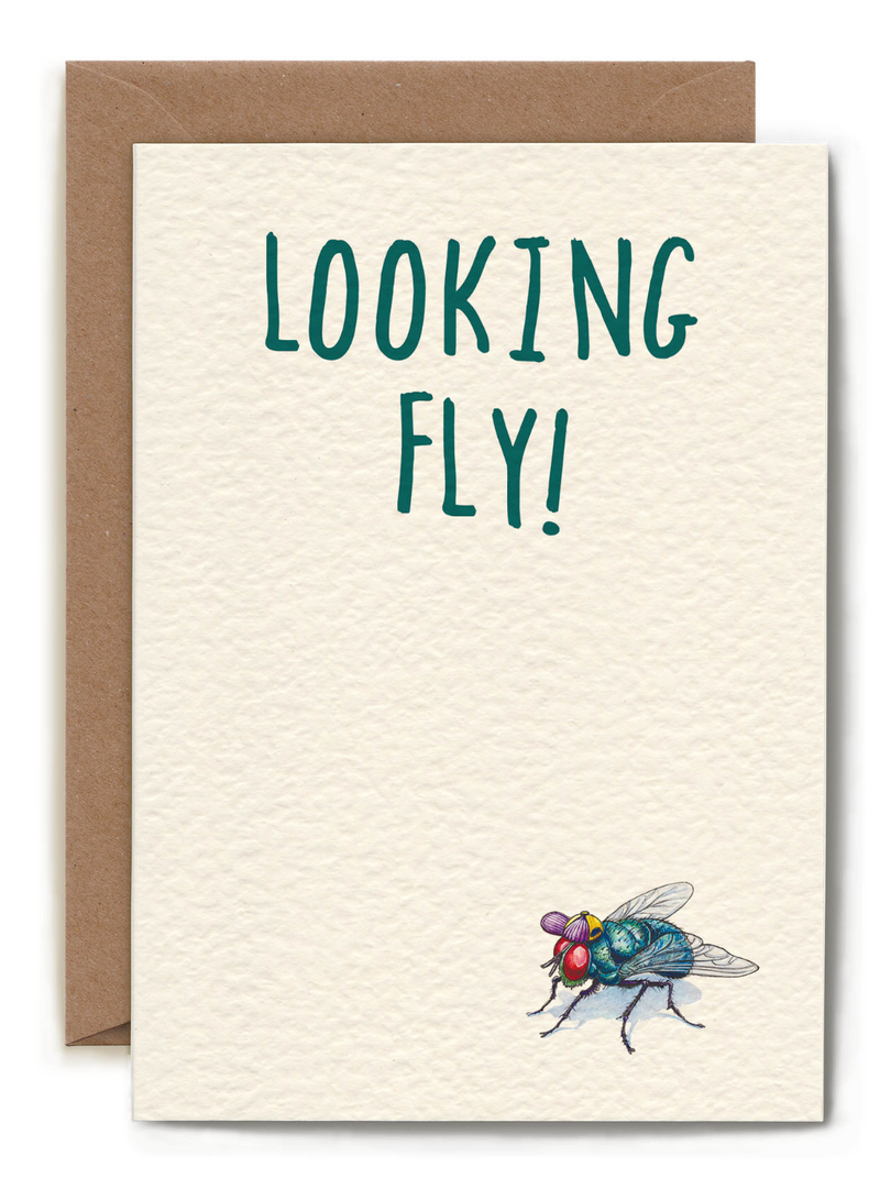 Looking Fly Card