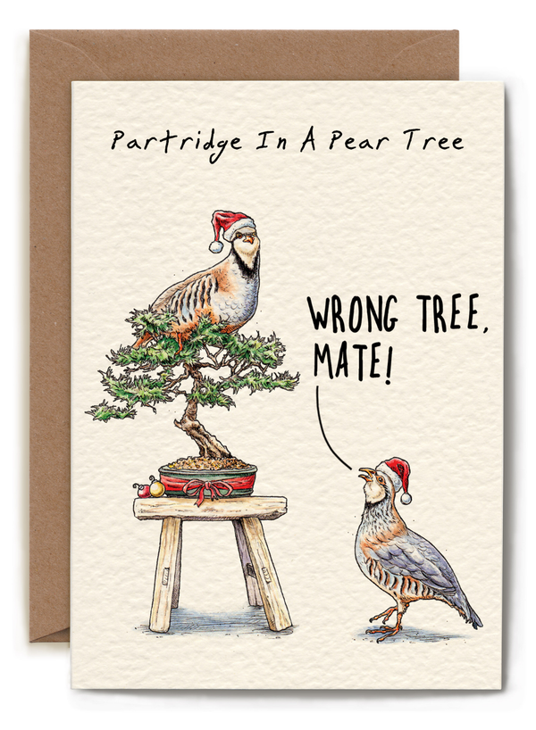 Partridge in a Pear Tree Card