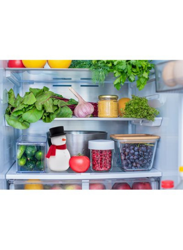 Freezy Fridge Deordorizer