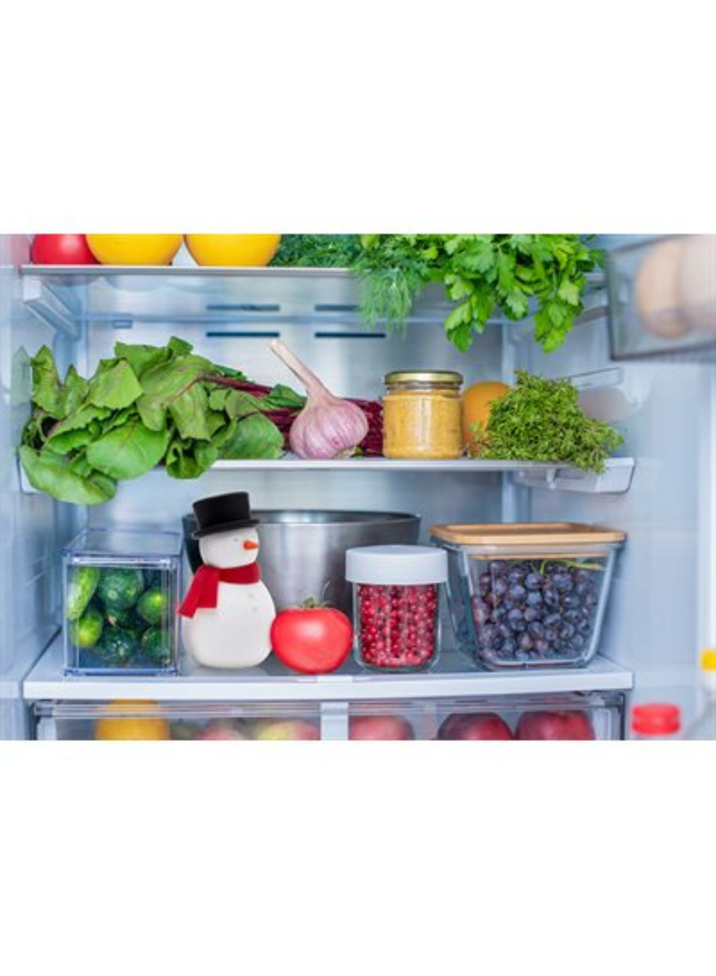 Freezy Fridge Deordorizer