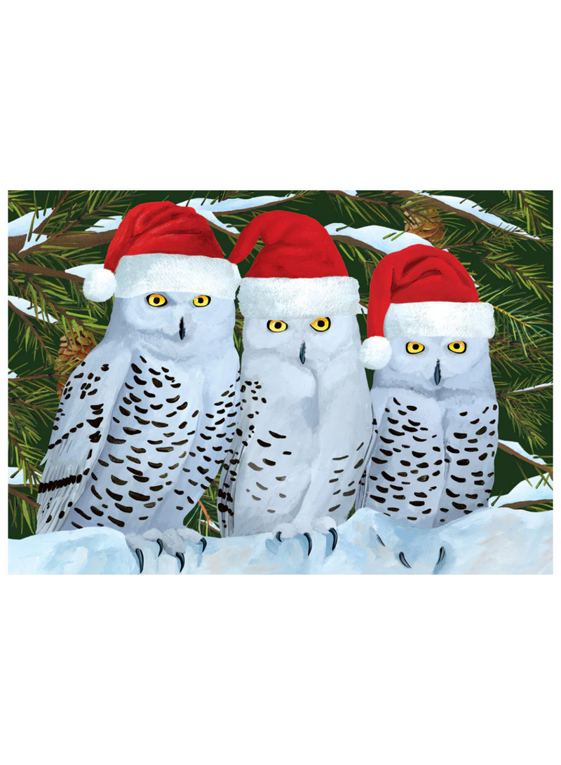 Three Owls Christmas Card