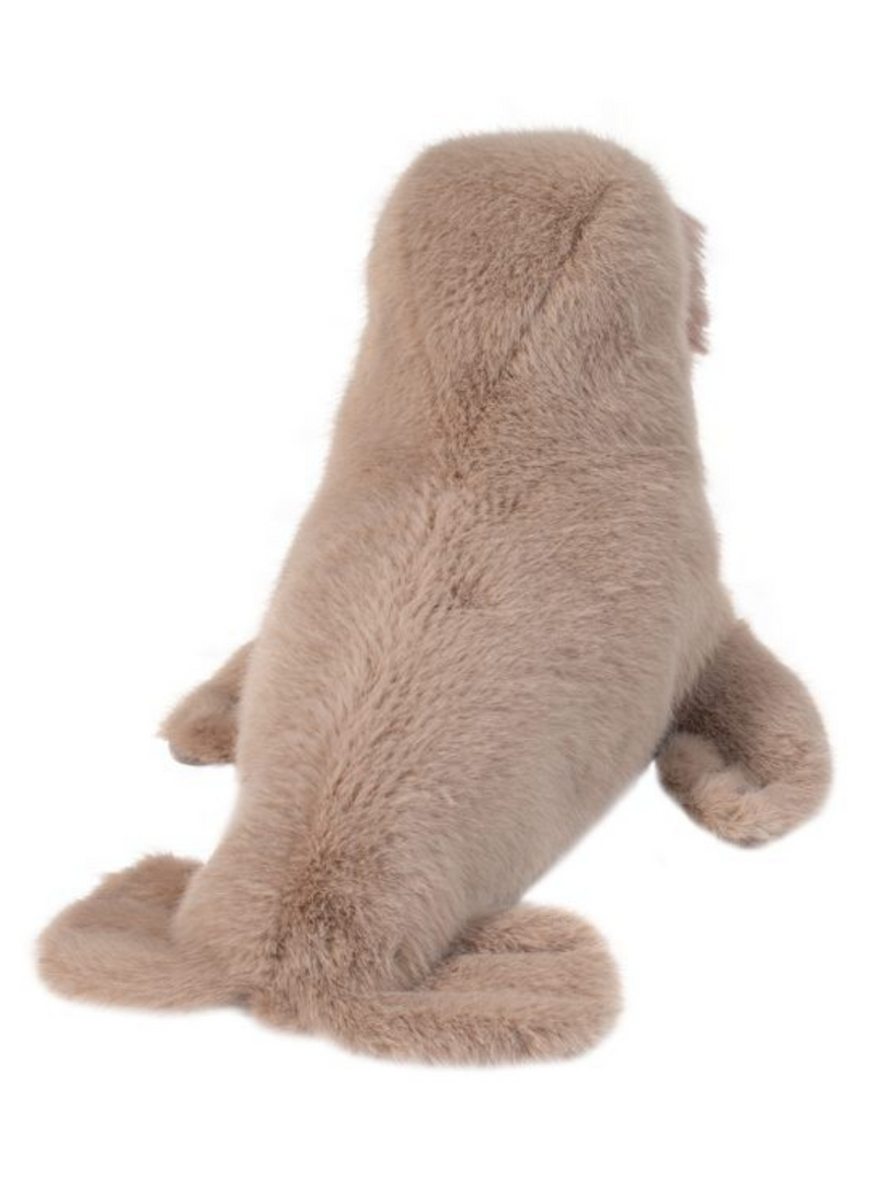 Brinie Walrus