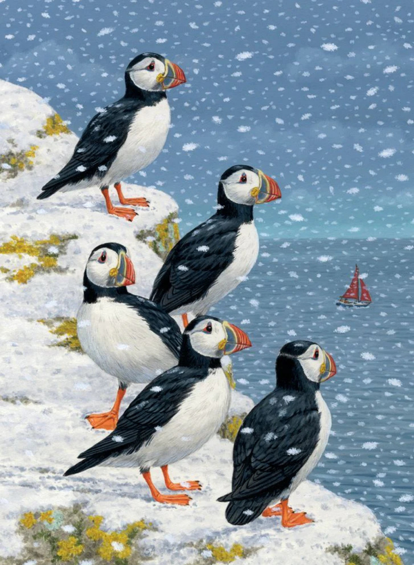 Puffins in the Snow Boxed Note Cards