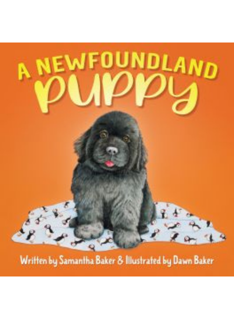 A Newfoundland Puppy Book