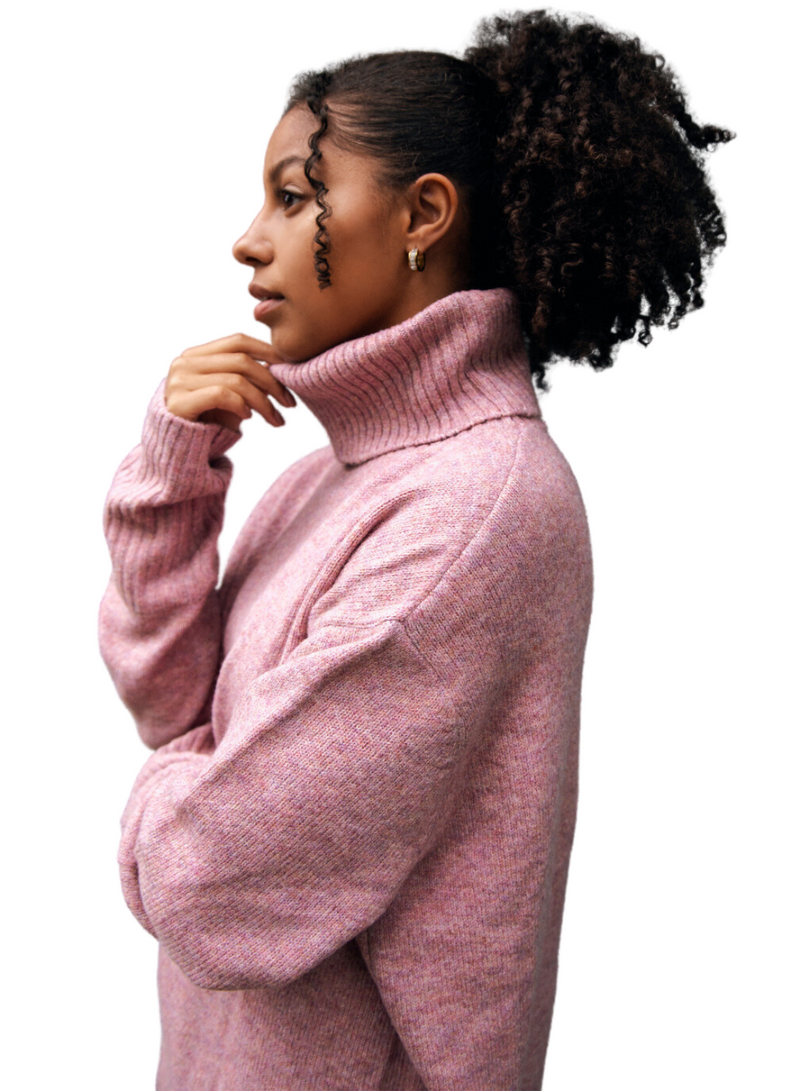 The Dog Walker Sweater