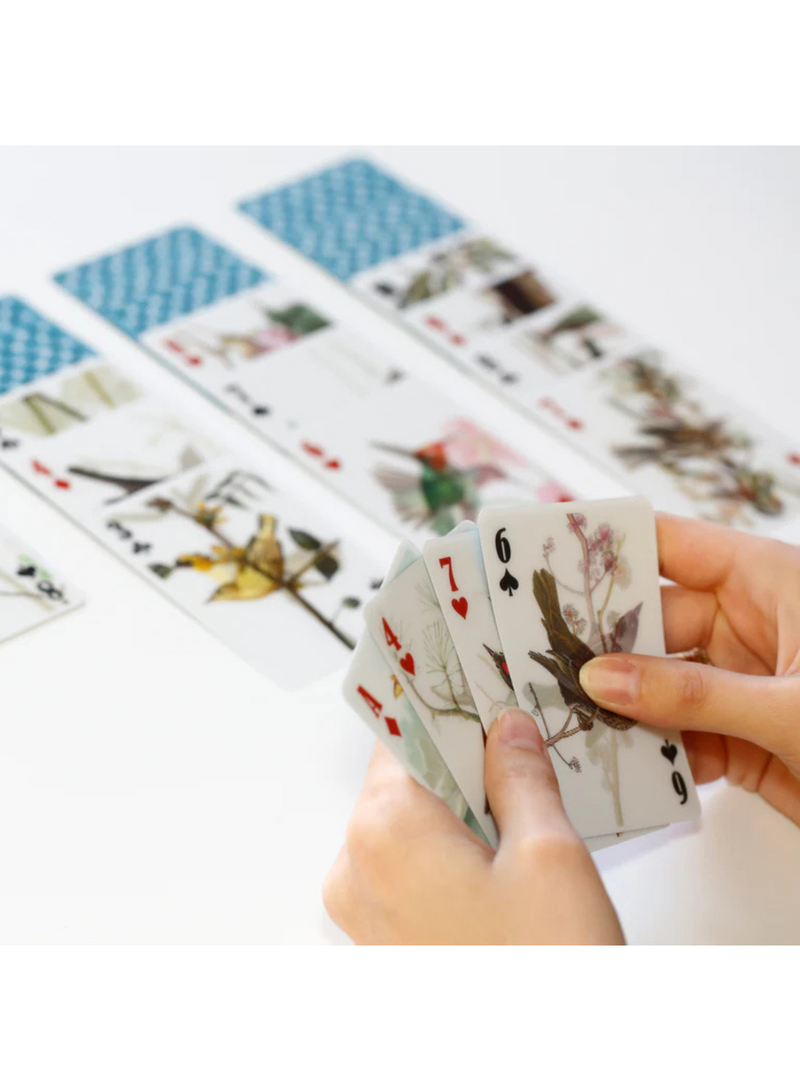 3D Bird Playing Cards