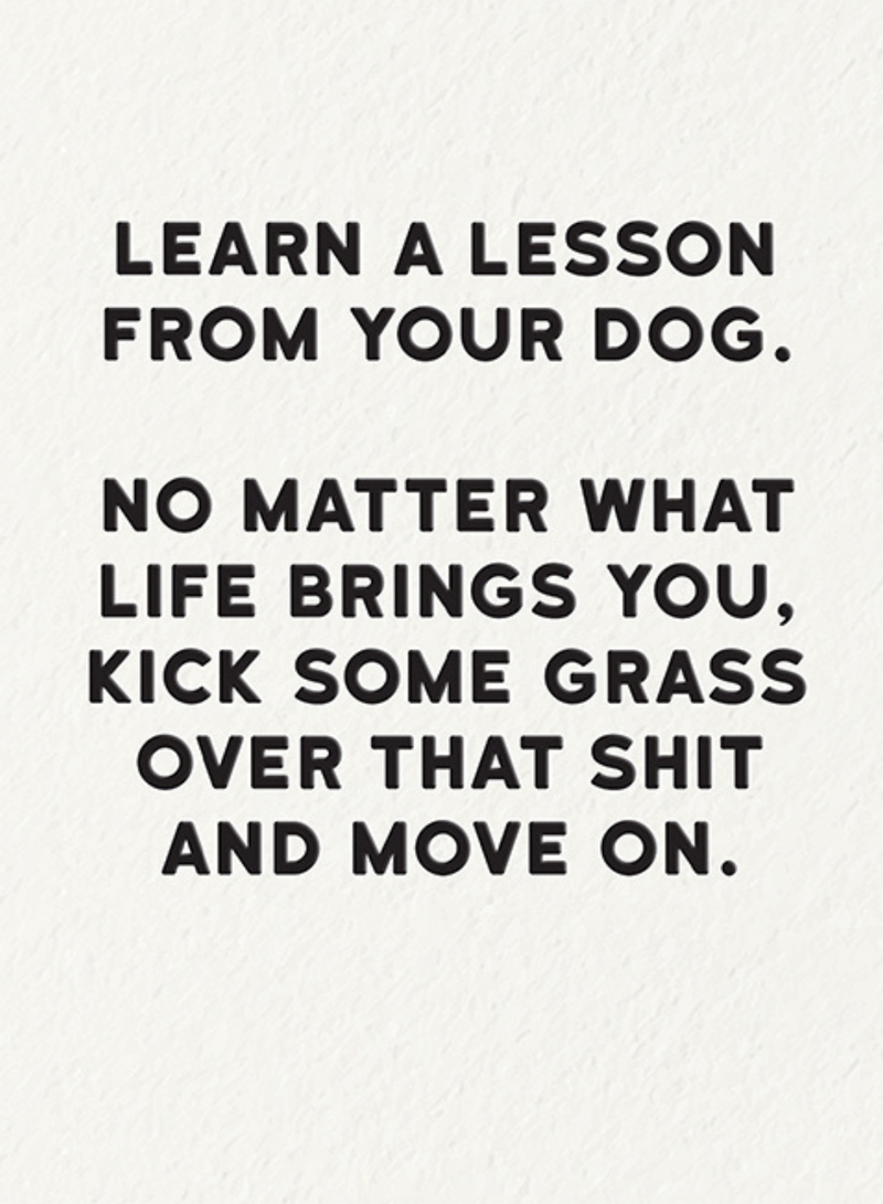 Lesson From Your Dog Card