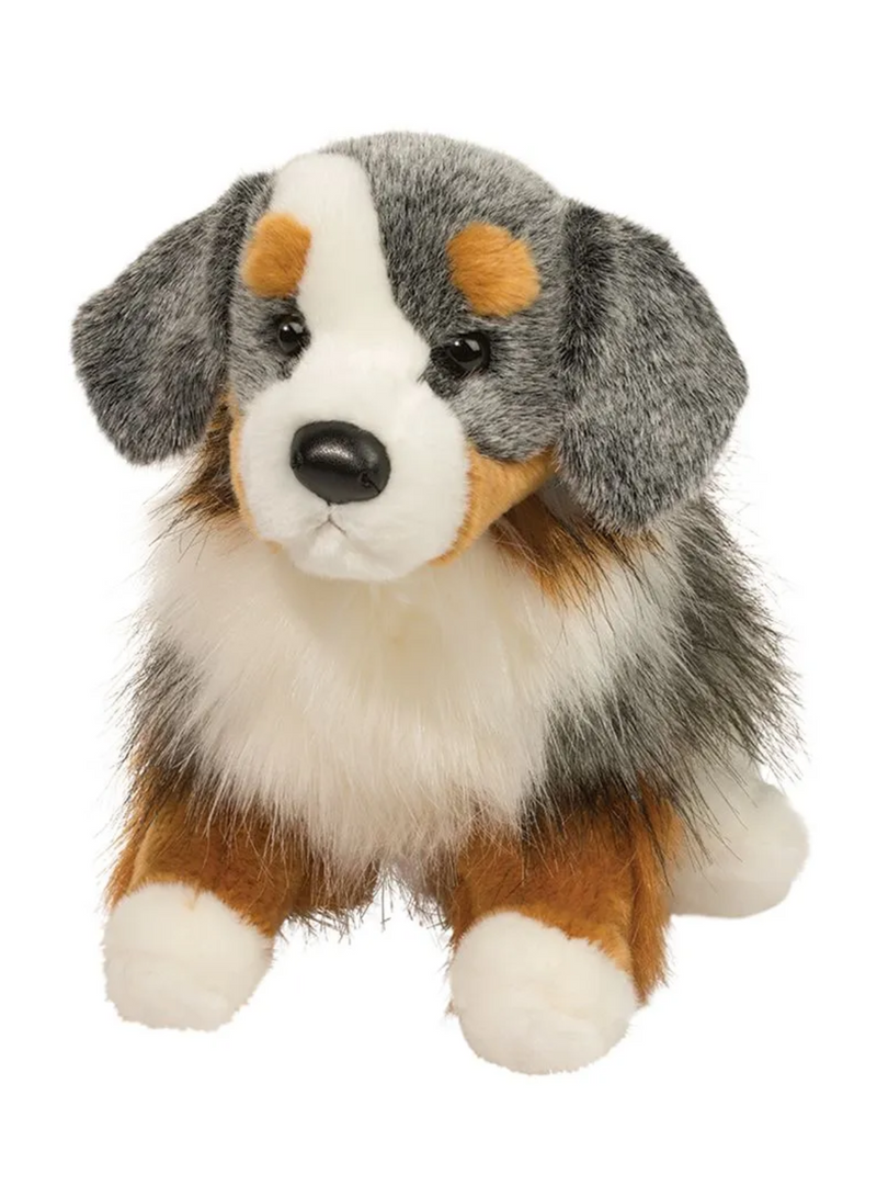 Sinclair Australian Shepherd