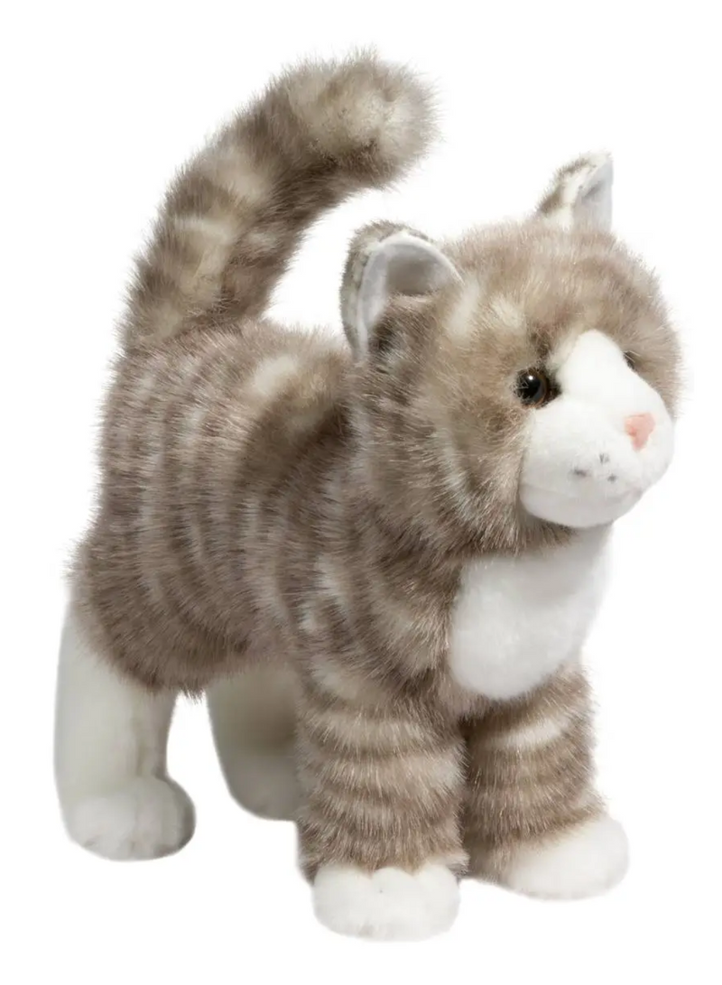 Zipper Gray Tabby Cat
